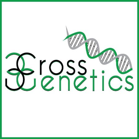 Picture for Dispensary Cross Genetics - Smith