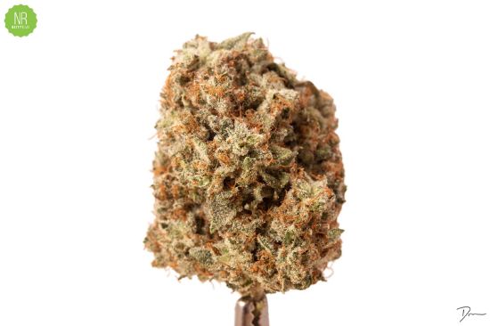 Picture of OG Kush Flower